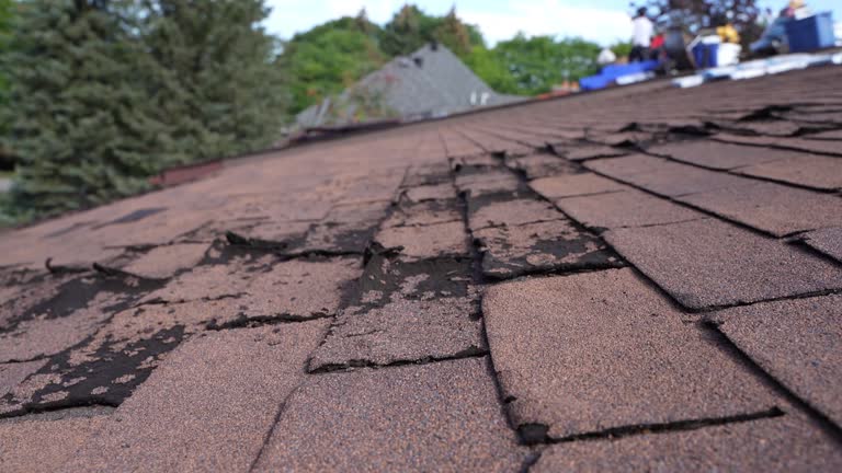Reliable Delavan Lake, WI Roofing Service Solutions